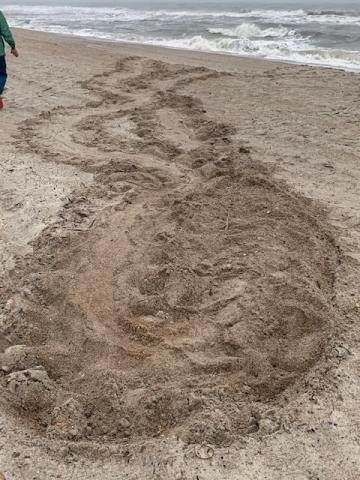 This is the first nest marked by the Amelia Island Sea Turtle Watch in 2021. Keeping the beach clean, flat and dark is key to ensuring mothers can nest and hatchlings can make it to the water, President Mary Duffy said.
