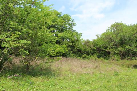 Developers are considering building a luxury RV park or a boutique hotel at 2195 Sadler Road in Fernandina Beach.