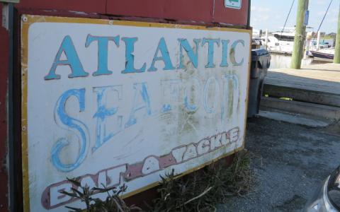 Atlantic Seafood Bait and Tackle, located at the west end of Ash Street at the Fernandina Harbor Marina, adds to the “grittiness” that is part of a working waterfront, Tammi Kocsack said. Operator Charlie Taylor said he believes the building dates from the 1950s, and the business has been under the purview of his family since 1975. JULIA ROBERTS/NEWS-LEADER
