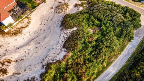 The North Florida Land Trust announced last week it had raised more than $1.3 million to purchase three parcels of land in American Beach in an effort to protect the Little NaNa Dune.