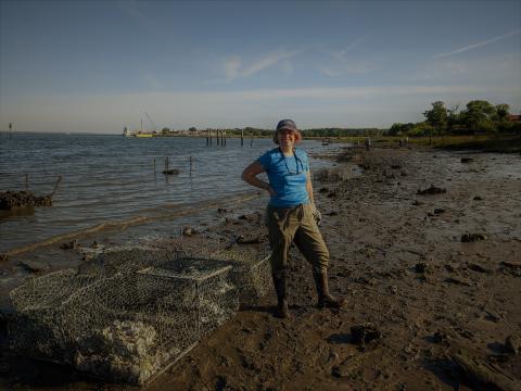 St. Marys Riverkeeper Anna Laws stands in front of an array of crab traps filled with oyster shells. Eventually, oysters will grow over the whole structure, creating a reef, like the older ones seen behind her. 