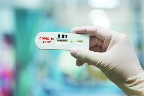 A generic photo of a sample COVID-19 test.