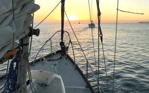 Aboard sailing vessel Wayward Wind heading out of the St. Simons channel to the starting line at sunrise behind a row of competitor boats. SUBMITTED