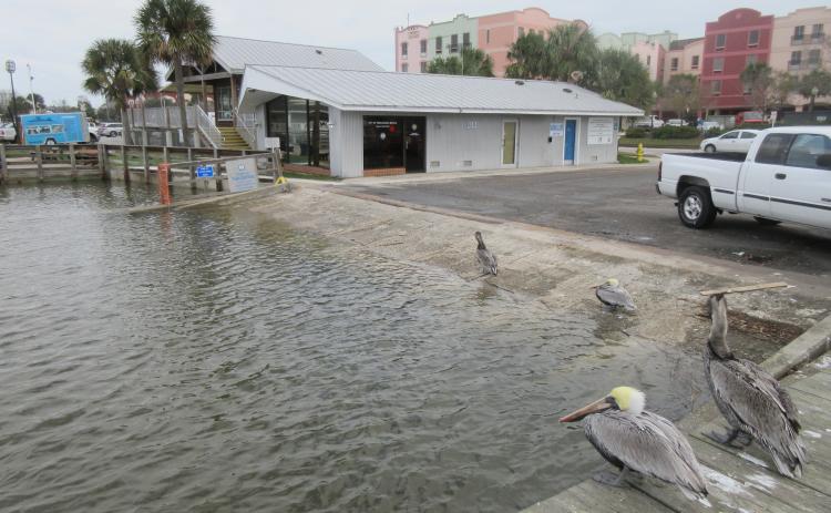 Fernandina Harbor Marina’s ramp