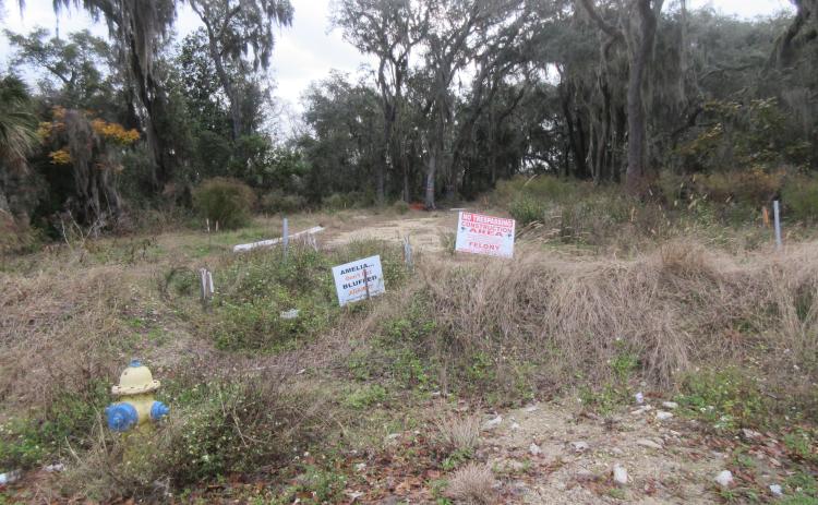 Amelia Bluff LLC was fined after it was discovered trees on the construction site that were protected by Fernandina Beach ordinances were removed. A mitigation plan has been submitted to the city by the developer. JULIA ROBERTS/NEWS-LEADER