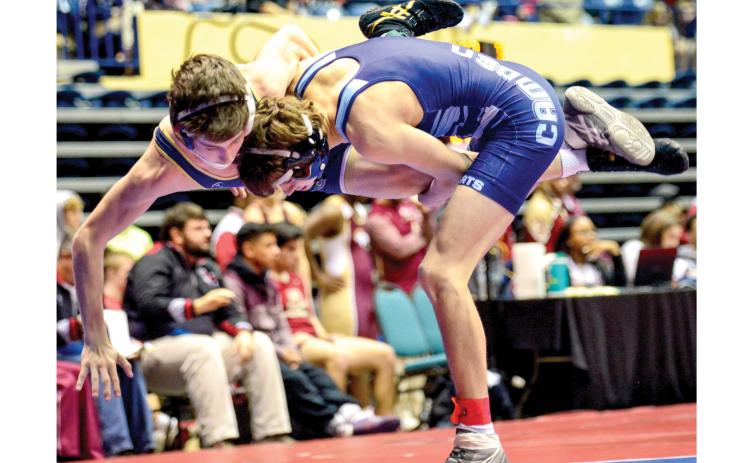 Nineteen Wildcat wrestlers placed in their weight classes last weekend as Camden County High placed two teams in the top five.
