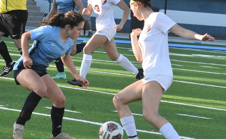 Camden County's Brooklynn Aviles defends against Lowndes. (Andy Diffenderfer/Tribune & Georgian)