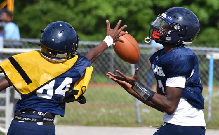 Elijah Richardson hauls in a pass with Jonathan Brown defending. (Andy Diffenderfer, Tribune & Georgian)
