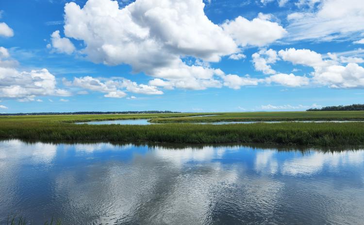 Georgia’s salt marshes are losing the battle against rising sea levels because the state’s coastal and foothill river systems aren’t providing enough sediment.