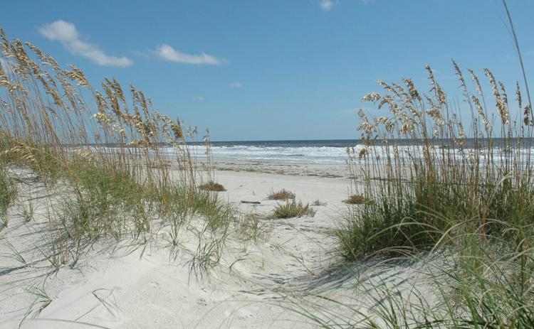 The National Park Service was awarded $8.7 million from Congress to add 173.7 acres to the  Cumberland Island National Seashore.