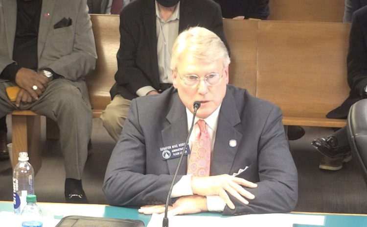 Sen. Mike Hodges, R-Brunswick, explains SB 362, an economic incentives bill limiting business choices for union recognition, to the state Senate Insurance and Labor Committee recently.