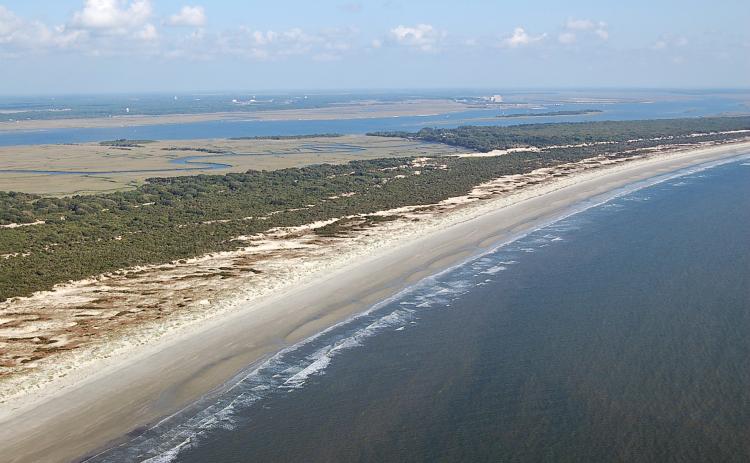 Cumberland Island National Seashore