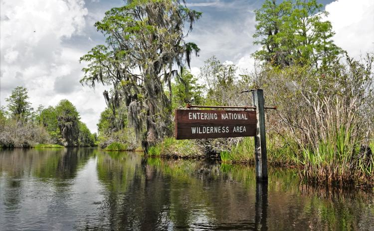 Two bills that could further protect the Okefenokee Swamp remain in a subcommittee after two hours of testimony earlier this week.