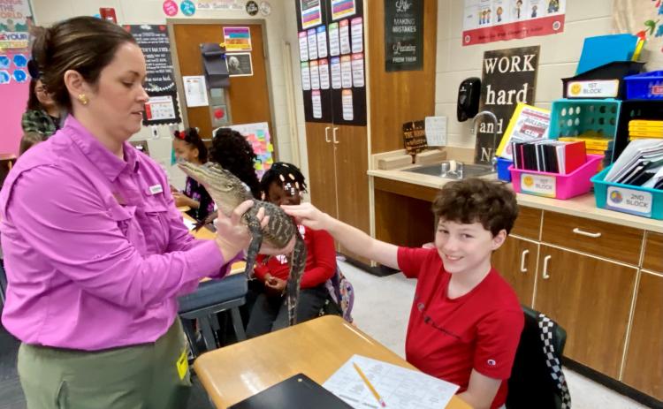 Mamie Lou Gross Elementary School fifth-graders recently encountered animals, including a live gator, during a visit from the Okefenokee Swamp Park Outreach Program.