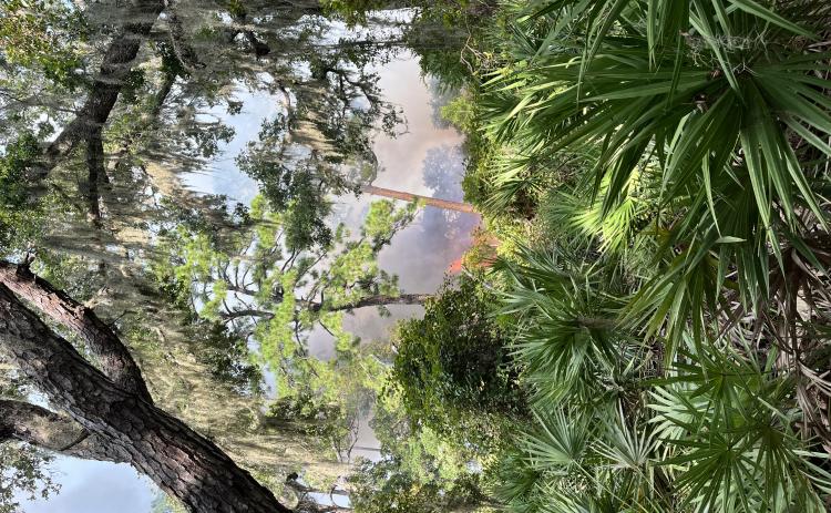 The National Park Service says a wildfire on Cumberland Island is contained to about 10 acres, and no park or private infrastructure is threatened by the blaze. (National Park Service)