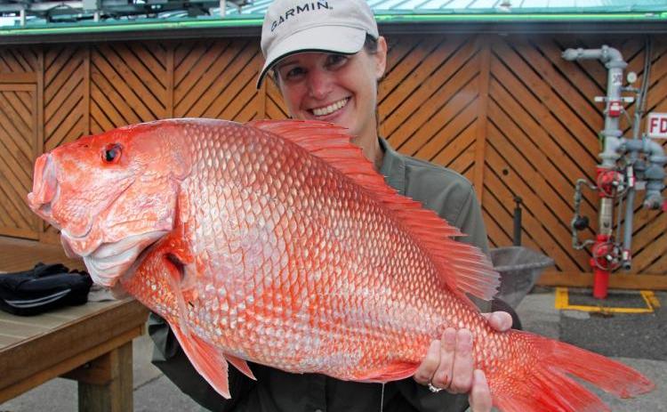 Four Southeastern states, including Georgia, added their influence to the battle over red snapper access in South Atlantic federal waters in an attempt to give anglers and commercial fishers the same access as those in the Gulf of Mexico. They followed up a letter sent earlier this year to the Commerce Department with an action plan of how to get their plans accomplished.
