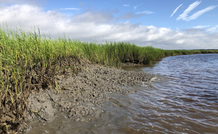 Coastal issues like degraded marsh at Cumberland Island National Seashore will be the focal point of a restoration project plan being developed by researches from the University of Georgia and Georgia Tech.