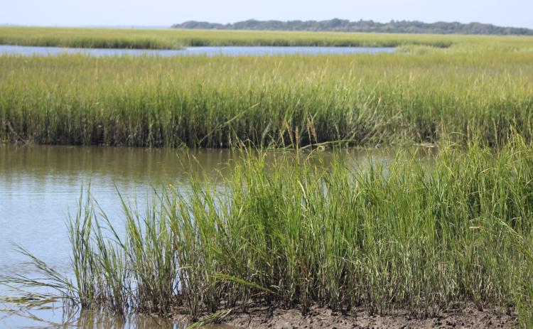 The National Park Service is seeking public comment on two potential land swaps between private landowners and the federal agency.