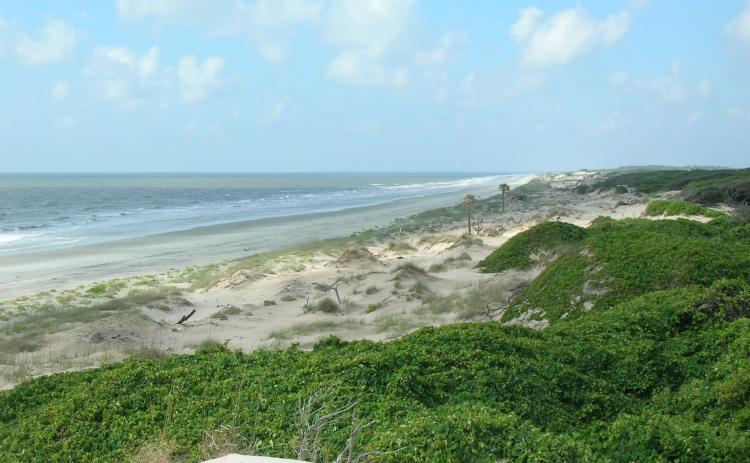 A newly released Visitor User Management Plan by the National Park Service increases the number of visitors allowed daily at Cumberland Island to 700, up from 300.