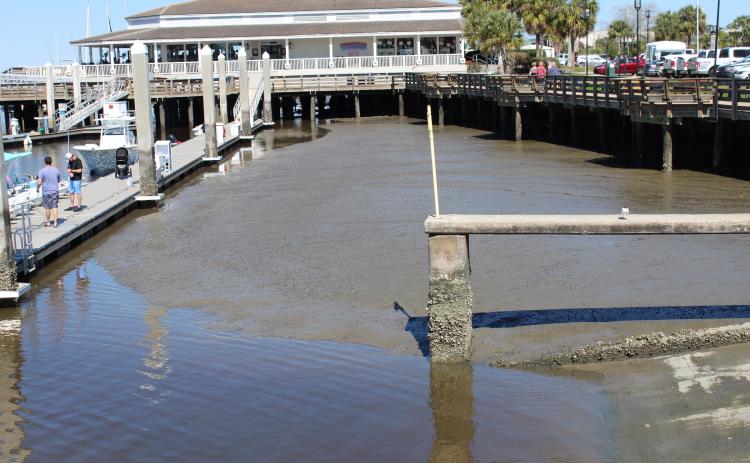 At low tide, there is little to no water in the southern basin of the Fernandina Harbor Marina. Grants administrator Lorelei Jacobs is working to fund dredging through a grant from the Florida Inland Navigation District.
