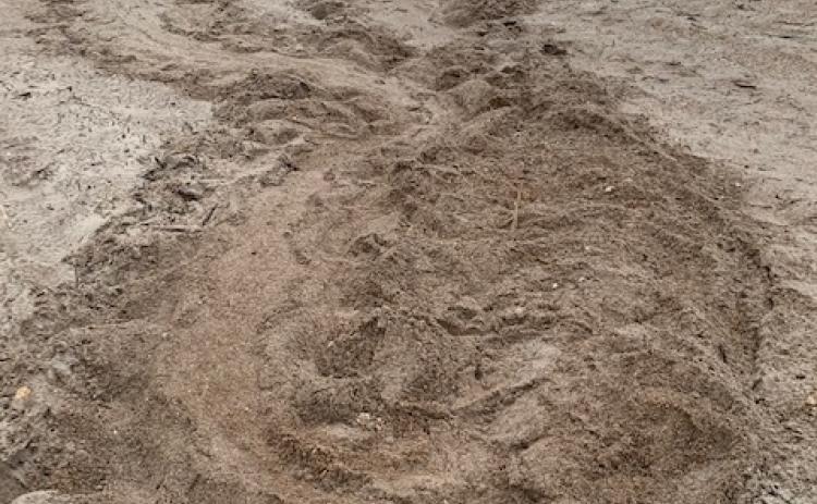 This is the first nest marked by the Amelia Island Sea Turtle Watch in 2021. Keeping the beach clean, flat and dark is key to ensuring mothers can nest and hatchlings can make it to the water, President Mary Duffy said.
