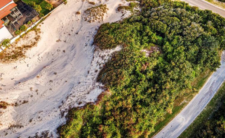 The North Florida Land Trust wants to acquire three parcels of land in American Beach in an effort to preserve the Little NaNa Dune System. It needs more than $1.3 million to purchase the property. FOR THE NEWS-LEADER