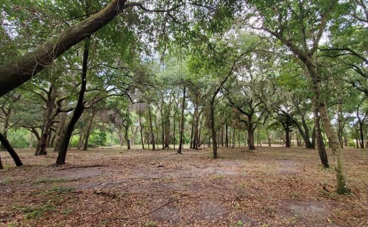 The city of Fernandina Beach, with North Florida Land Trust’s help, recently purchased 5.25 acres of land near Egans Creek for preservation.