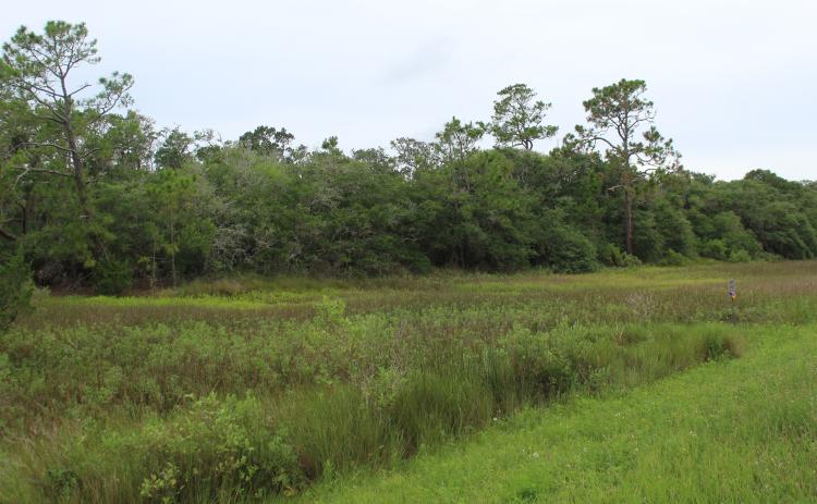 Riverstone Property is the only large undeveloped property on unincorporated Amelia Island.