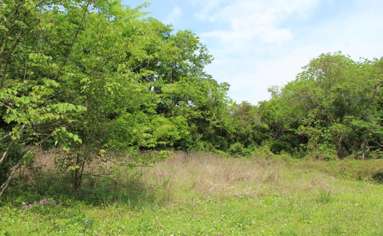 Developers are considering building a luxury RV park or a boutique hotel at 2195 Sadler Road in Fernandina Beach.