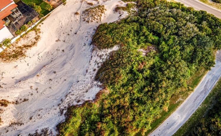 The North Florida Land Trust announced last week it had raised more than $1.3 million to purchase three parcels of land in American Beach in an effort to protect the Little NaNa Dune.