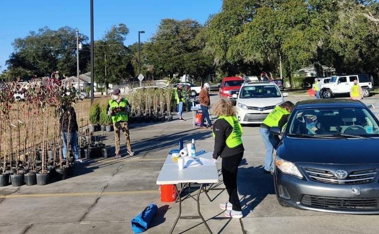 Volunteers help with the Keep Nassau Beautiful Florida Arbor Day Free Tree drive-thru.