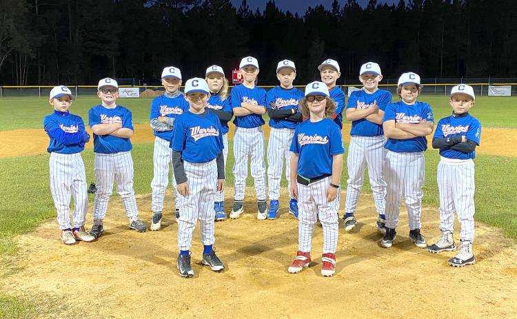 The Warrior Red 10U team dons blue jerseys in support of the Juvenile Diabetes Research Foundation. Two of the teammates have diabetes and the team joined together to raise awareness.