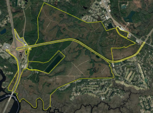 Raydient, the real-estate arm of timber company Rayonier, wants to develop more than 1,800 acres near I-95. The city of St. Marys is considering annexing the property into the city.