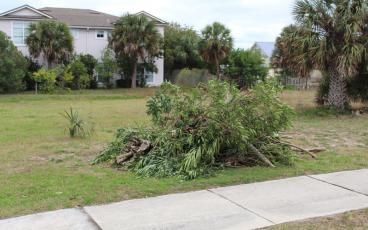 The contract between the city of Fernandina Beach and Waste Management requires yard debris to be bagged and bundled before being picked up by the company for transport to a landfill off the island, but the company says most of the debris is simply placed on the right of way, such as this pile on Tarpon Avenue. Waste Management has been picking up the piles but wants to increase its rates to pay for the extra time and labor required to do so. JULIA ROBERTS/NEWS-LEADER