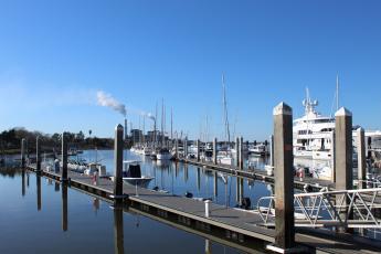 The Fernandina Harbor Marina brings visitors into downtown Fernandina Beach, creating business for shops, bars and restaurants, Marina Advisory Board members said. “It’s not just a mud pit. It’s a money maker for downtown merchants,” MAB member Allen Mills said.