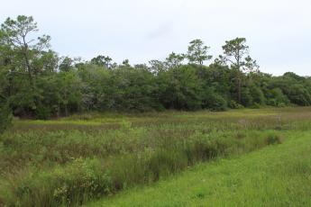 Riverstone Property is the only large undeveloped property on unincorporated Amelia Island. 