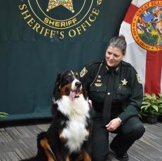 The Nassau County Sheriff’s Office introduces its first comfort dog, Tank. 