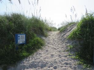 This beach access along Ocean Avenue is a breach of the dune, which creates a flooding hazard. The dune, says coastal geomorphologist Dr. Frank Hopf, protects the north end of Amelia Island from storm surge, and is being damaged by people walking through it to access the beach. The city says it will apply for a grant from the Florida Department of Environmental Protection for funds to build a walkover at the location to protect the dune from damage.  Julia Roberts/News-Leader