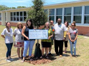 Keep Nassau Beautiful, with support from government, nonprofits and local businesses, recently planted trees at Fernandina Beach Middle School.