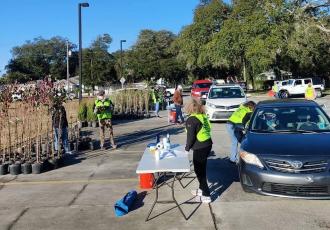 Volunteers help with the Keep Nassau Beautiful Florida Arbor Day Free Tree drive-thru.