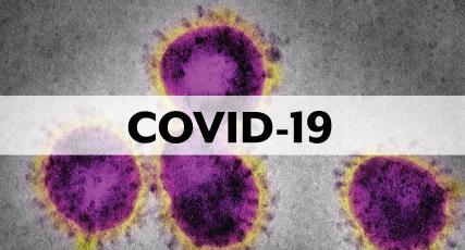 A graphic provided by the Florida Department of Health depicting the novel coronavirus.
