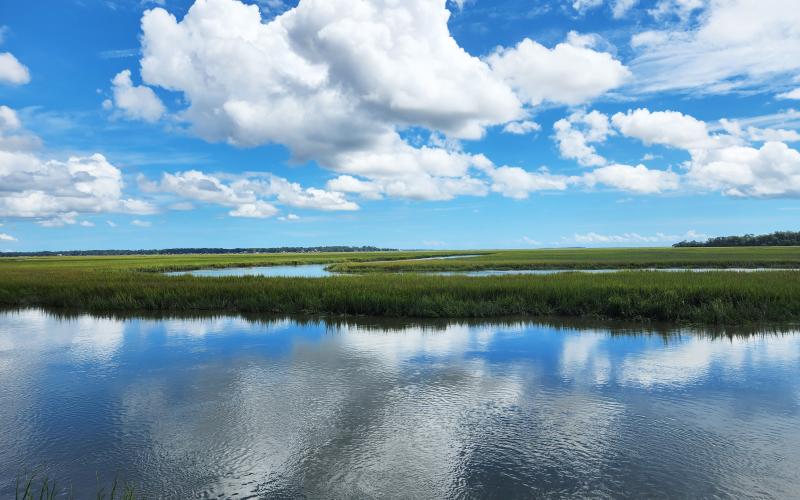 Georgia’s salt marshes are losing the battle against rising sea levels because the state’s coastal and foothill river systems aren’t providing enough sediment.