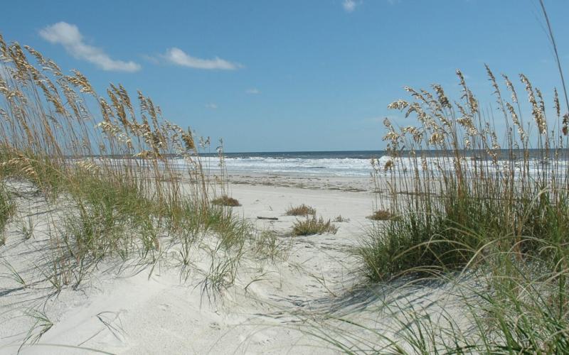 The National Park Service was awarded $8.7 million from Congress to add 173.7 acres to the  Cumberland Island National Seashore.
