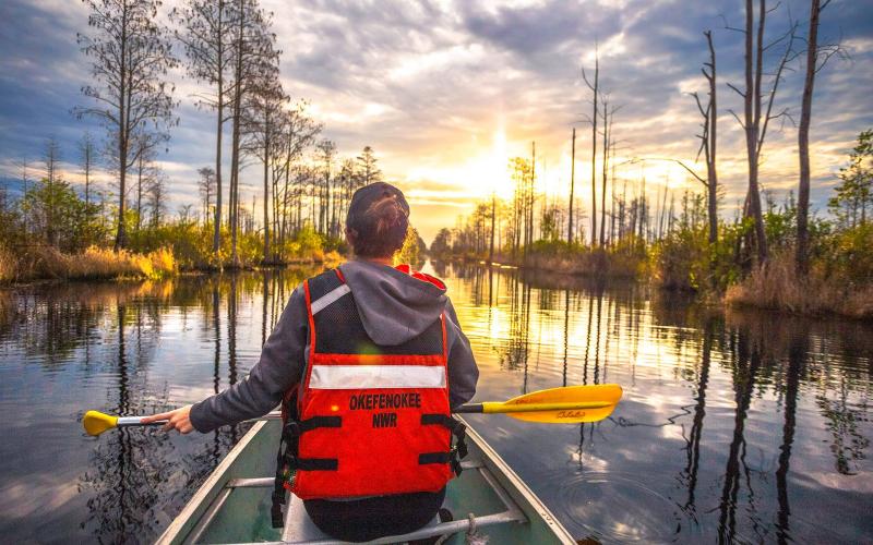 Lawmakers are debating a bill that could ban surface mining near the Okefenokee Swamp.