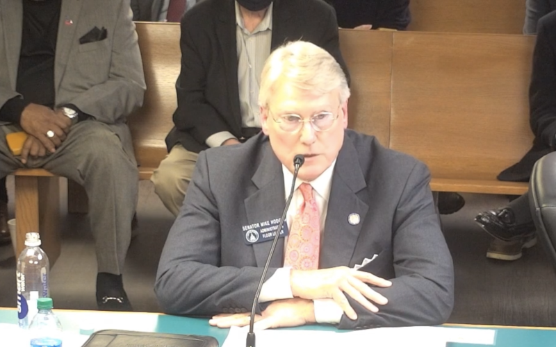 Sen. Mike Hodges, R-Brunswick, explains SB 362, an economic incentives bill limiting business choices for union recognition, to the state Senate Insurance and Labor Committee recently.