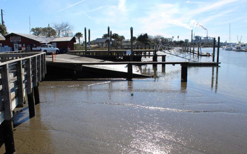 The southern basin of the Fernandina Harbor Marina is silted, making it impossible for boats to maneuver in parts of the marina during low tide. Passero Associates says its plan for waterfront resiliency will help curb erosion and reduce the need for dredging in the marina. To view artist renderings of the proposed waterfront, visit the News-Leader’s Facebook page.