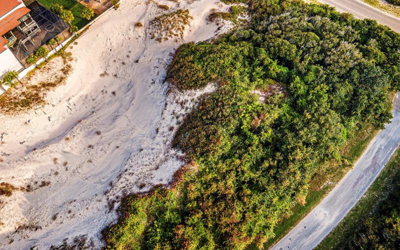 The North Florida Land Trust wants to acquire three parcels of land in American Beach in an effort to preserve the Little NaNa Dune System. It needs more than $1.3 million to purchase the property. FOR THE NEWS-LEADER