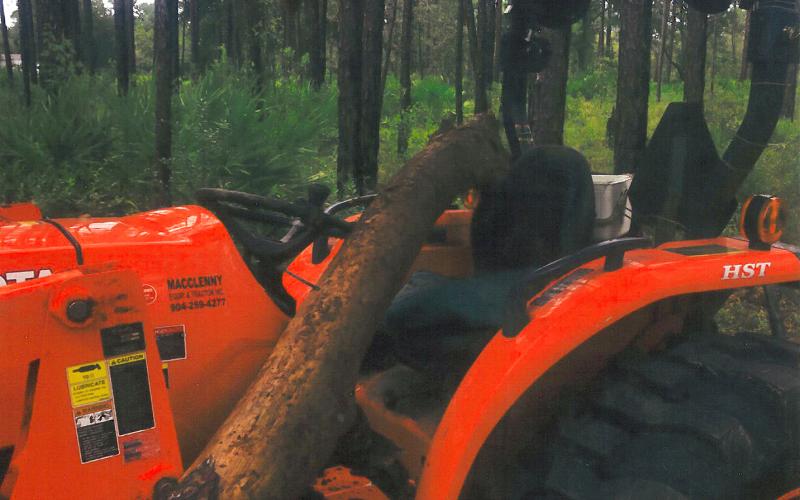 Callahan’s Bill Quaile had a scare recently when a tree fell on his front-end loader, injuring his right arm.