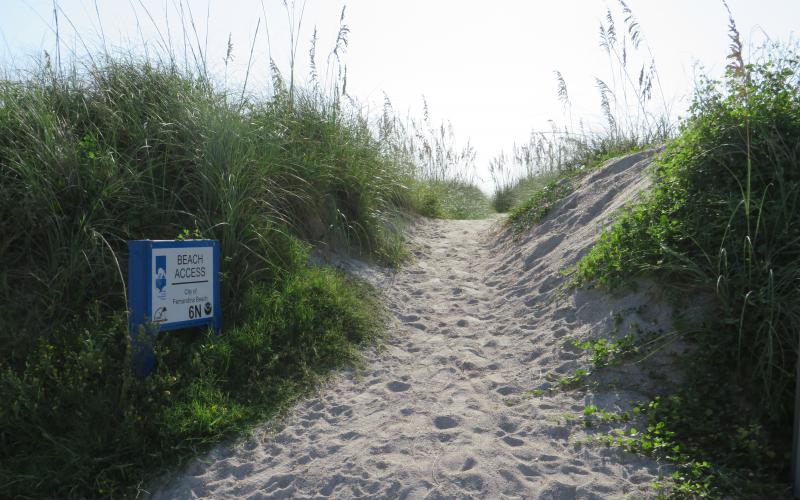 This beach access along Ocean Avenue is a breach of the dune, which creates a flooding hazard. The dune, says coastal geomorphologist Dr. Frank Hopf, protects the north end of Amelia Island from storm surge, and is being damaged by people walking through it to access the beach. The city says it will apply for a grant from the Florida Department of Environmental Protection for funds to build a walkover at the location to protect the dune from damage.  Julia Roberts/News-Leader