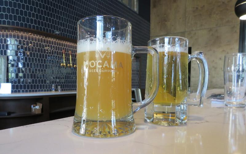 Mocama Beer Company will offer beers of varying flavors, colors and aromas in its taproom on South Eighth Street, as well as at restaurants and retail locations in Northeast Florida and, in the future, southern Georgia. JULIA ROBERTS/NEWS-LEADER